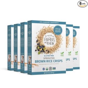 Organic Foods Sprouted Brown Rice Crisps